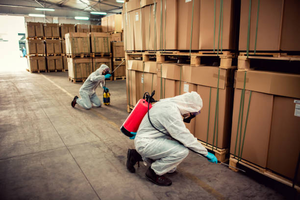 Best Termite Control Services  in Chester, PA