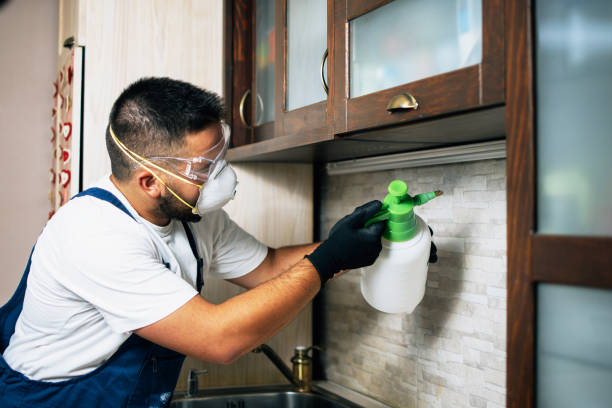 Best Best Pest Control Companies  in Chester, PA