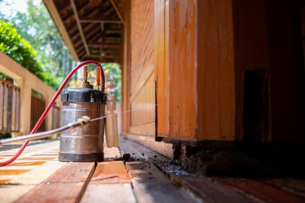 Best Ant Control Services  in Chester, PA