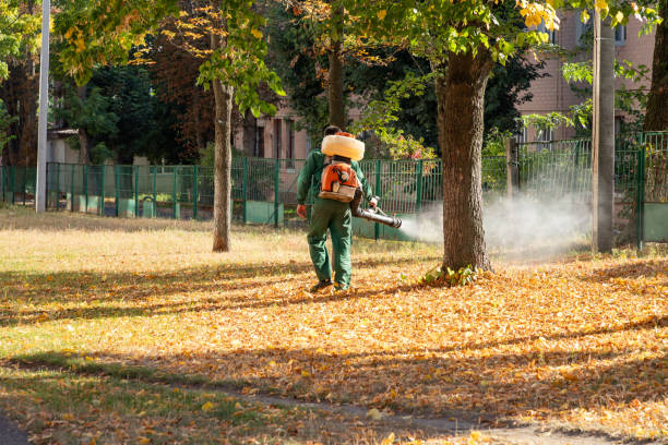 Best Rat Extermination Near Me  in Chester, PA
