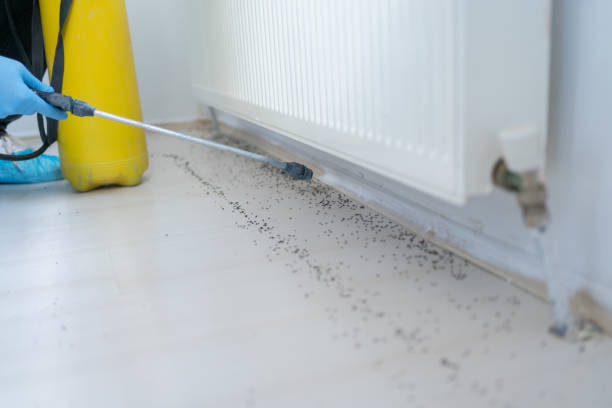 Best Wasp Removal Services  in Chester, PA